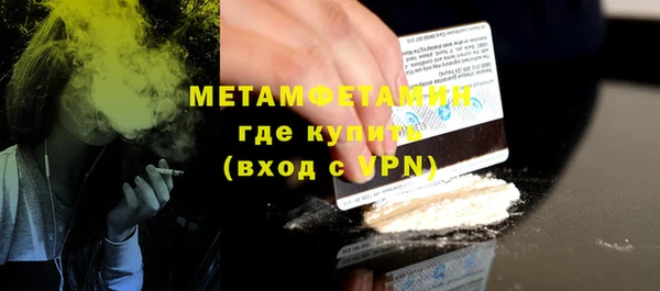 прущие грибы Медногорск