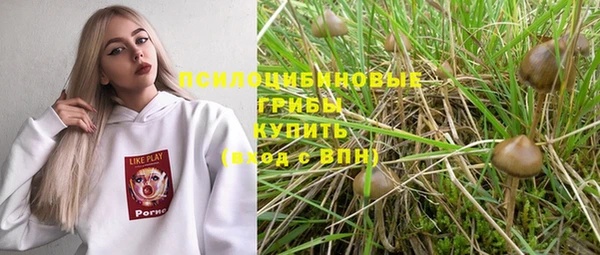 а пвп мука Гусиноозёрск