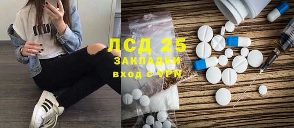 ECSTASY Гусь-Хрустальный