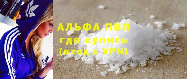 ECSTASY Гусь-Хрустальный