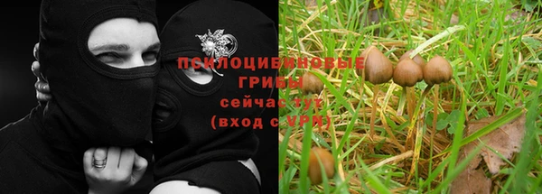 а пвп мука Гусиноозёрск