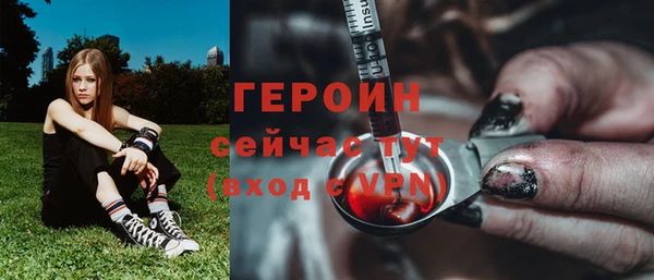 ECSTASY Гусь-Хрустальный