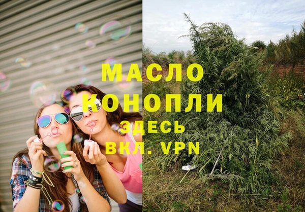 таблы Гусев